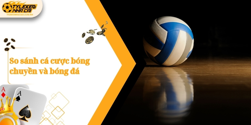 So sánh cá cược bóng chuyền và bóng đá
