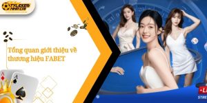 tong quan gioi thieu ve thuong hieu fabet 1