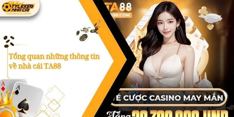 Tổng quan những thông tin về nhà cái TA88