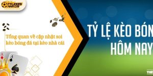 tong quan ve cap nhat soi keo bong da tai keo nha cai 1