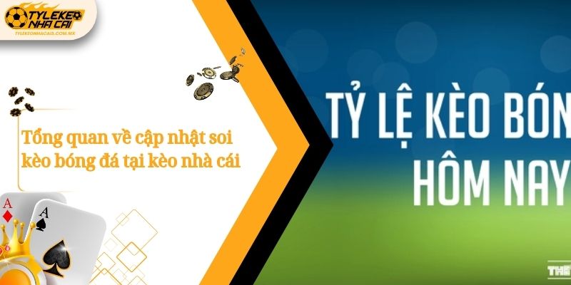 tong quan ve cap nhat soi keo bong da tai keo nha cai 1