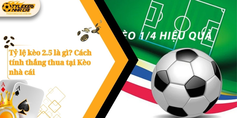 ty le keo 2 5 la gi cach tinh thang thua tai keo nha cai 1
