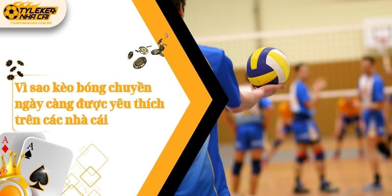 vi sao keo bong chuyen ngay cang duoc yeu thich tren cac nha cai 1